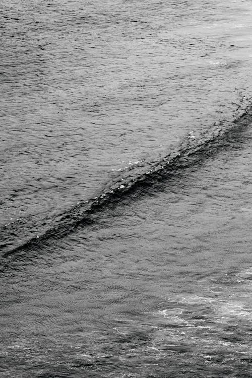 Ocean wave rolling near shore in sunlight