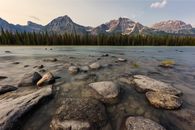 Rocks in a River near the Trees in the Forest