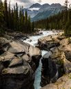 River in the Forest Leading to a Waterfall
