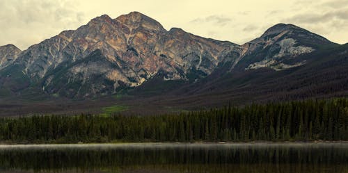 Gratis stockfoto met Alberta, berg, bomen