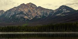 Green Trees Near Lake and Mountain