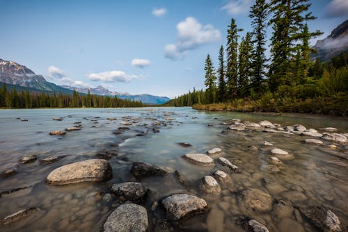 Free Rocks in the Athabasca River Stock Photo