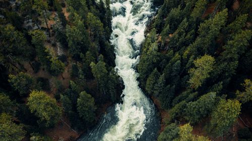 Free A breathtaking aerial photograph of a rapid river flowing through a dense pine forest in Oregon. Stock Photo