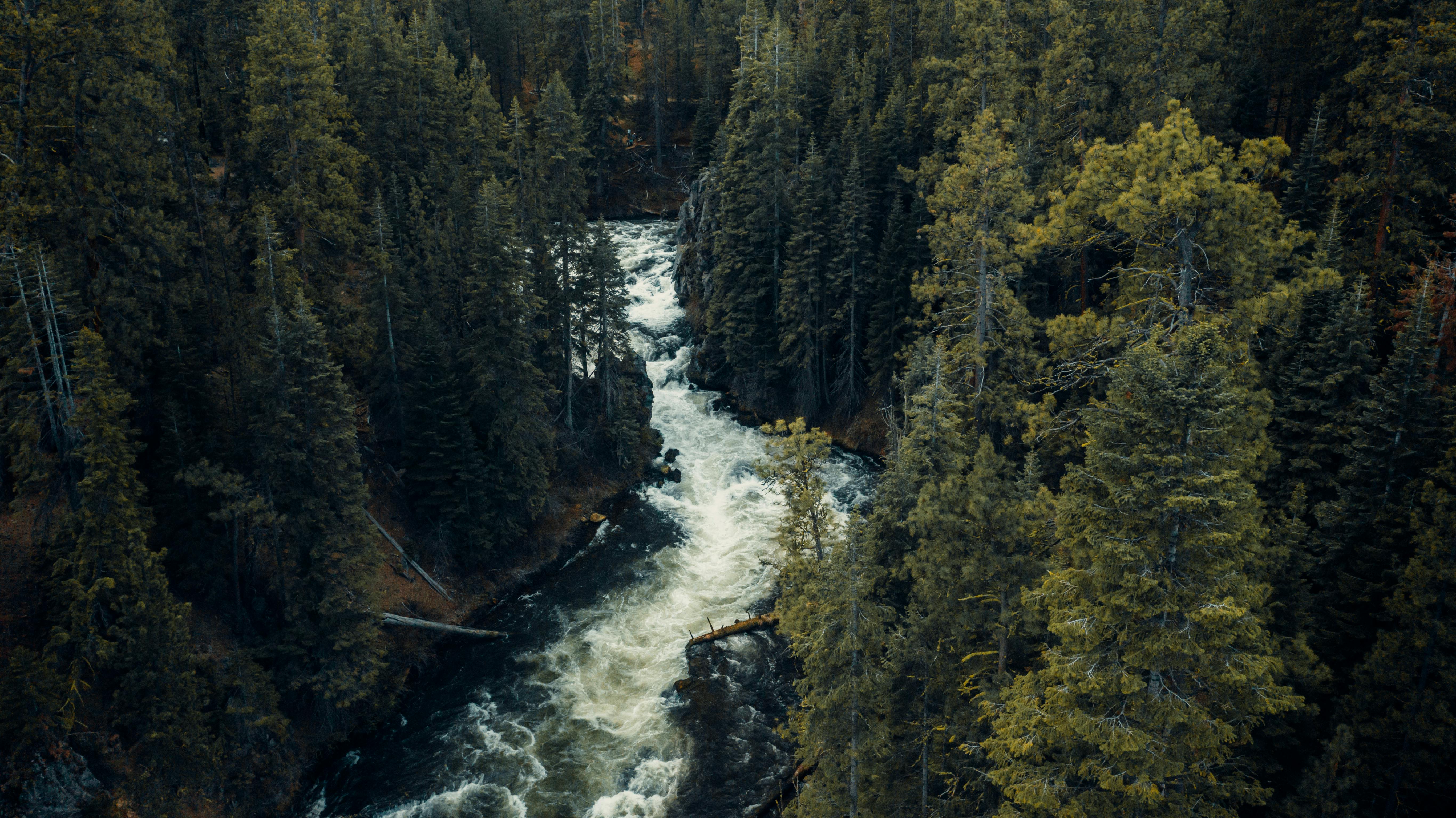 1,000+ Free Oregon & Nature Images - Pixabay