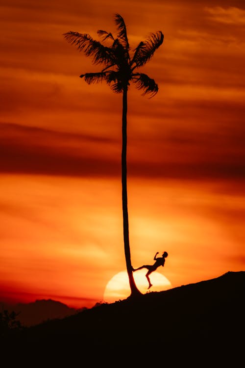 男人在日落时分在棕榈树上跳跃的剪影