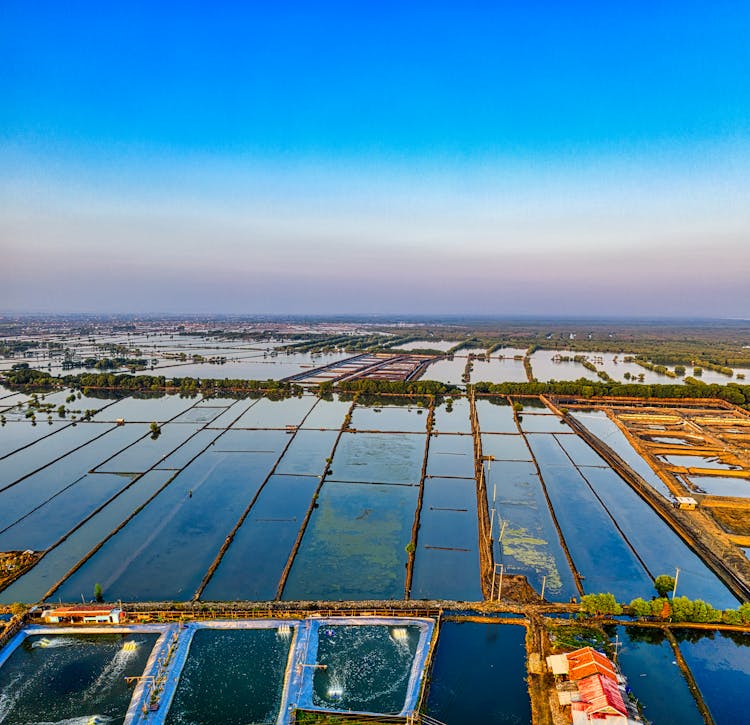 Fish Farm With Ponds Against Endless Sea Under Bright Sky