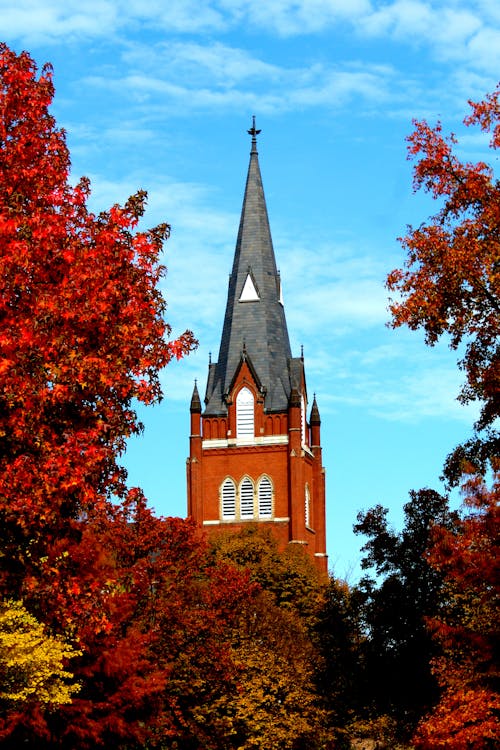 Low Angle Shot of the Architecture of a Church near Fall Colored Leaves