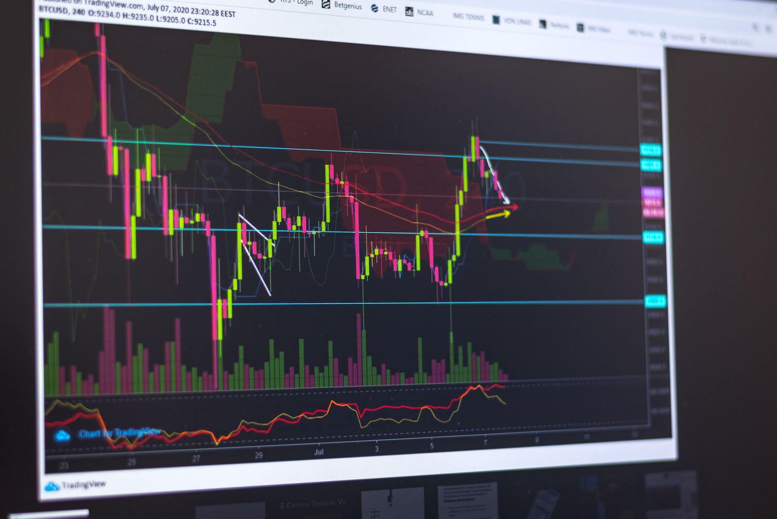 Laptop showing detailed digital-asset investment charts