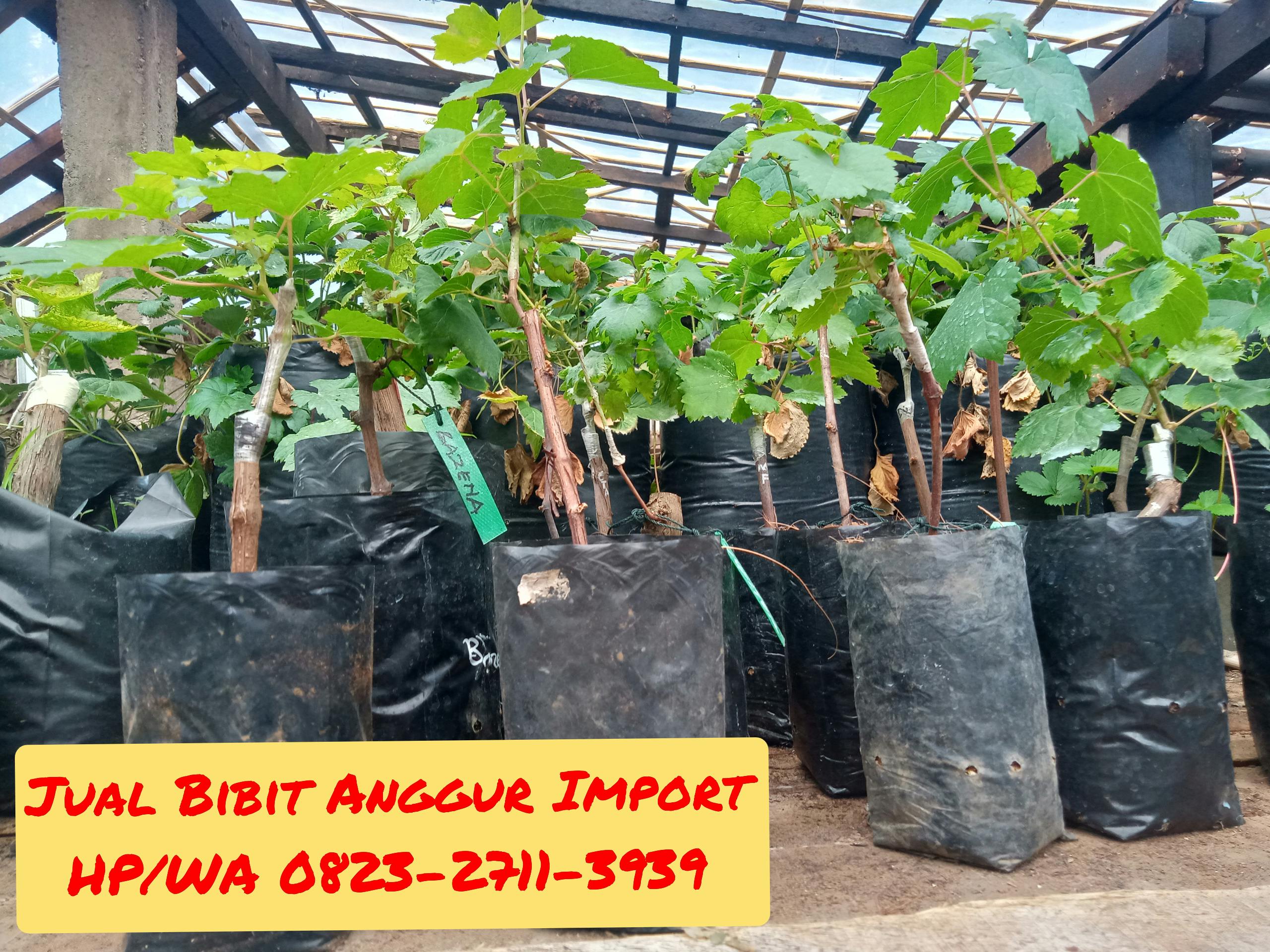 Open book representational image