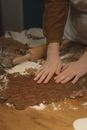 Person in Brown Long Sleeve Shirt Holding Brown Wooden Rolling Pin