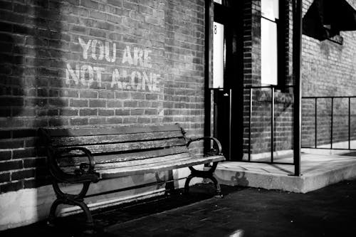 Black and white of empty wooden bench near brick wall of building with inscription you are not alone