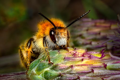 Gratis stockfoto met antenne, bij, buiten