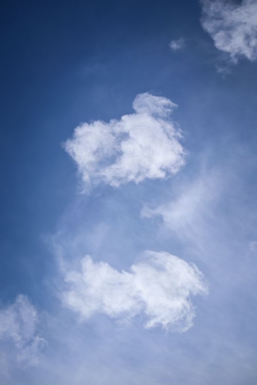 Free Serene view of a bright blue sky filled with fluffy cumulus clouds. Stock Photo