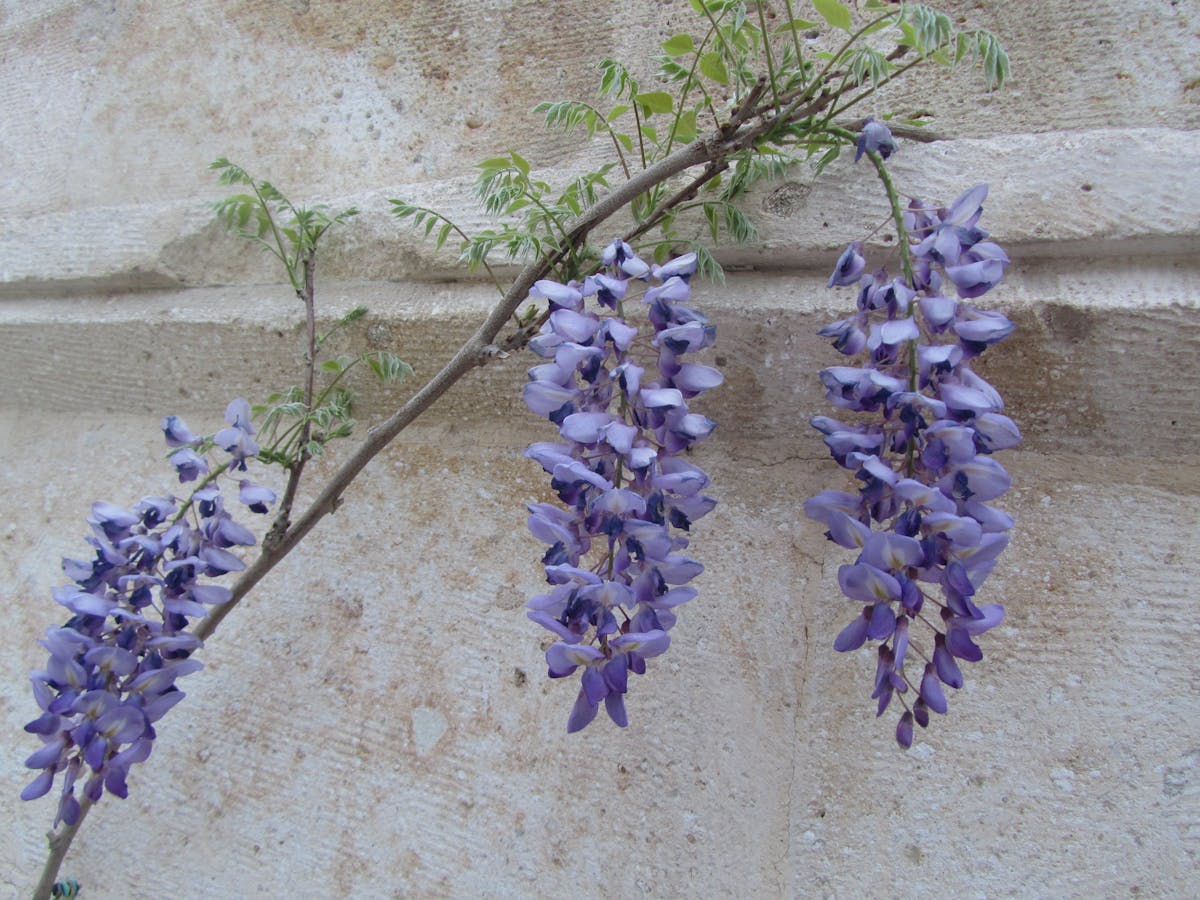 assortment of condiments and sauces on a kitchen counter