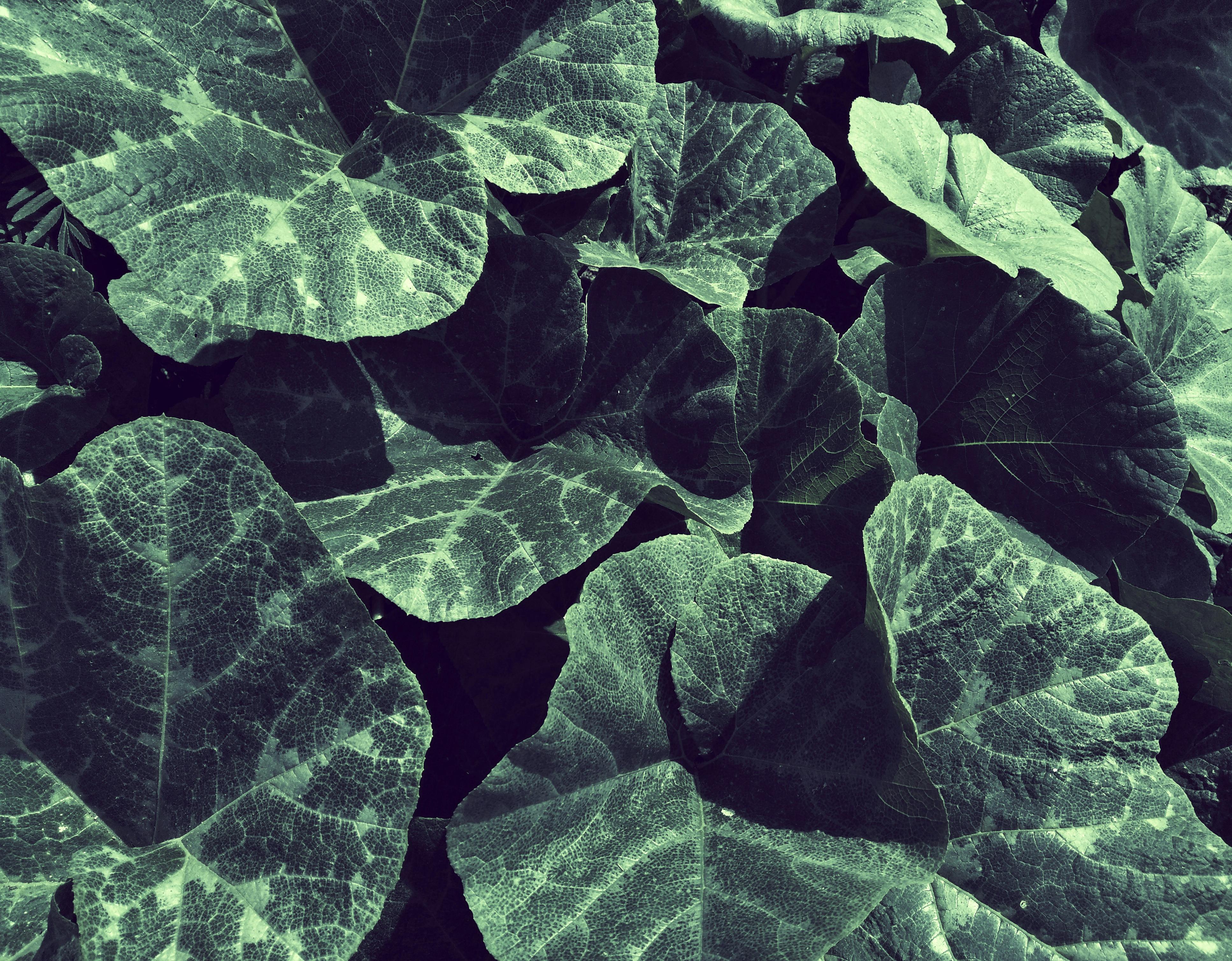 Background wallpaper 6 Photos & Videos Collected by Andres Rivas