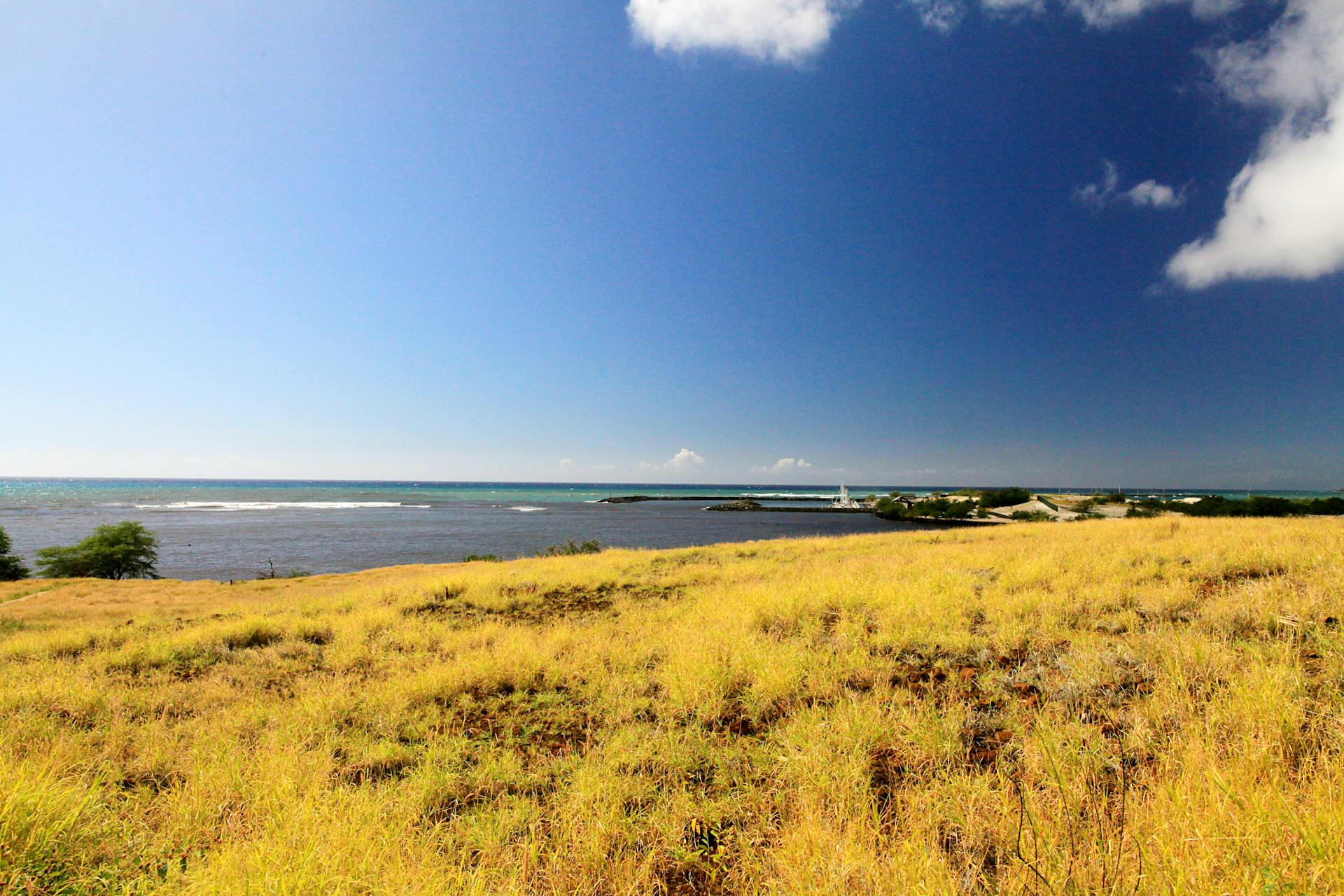 Beautiful coastal scene at Kealakekua, Hawaii with grassy fields and ocean view.