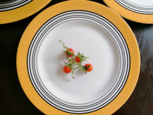 Free Small Tomato Panicle on Plate Stock Photo