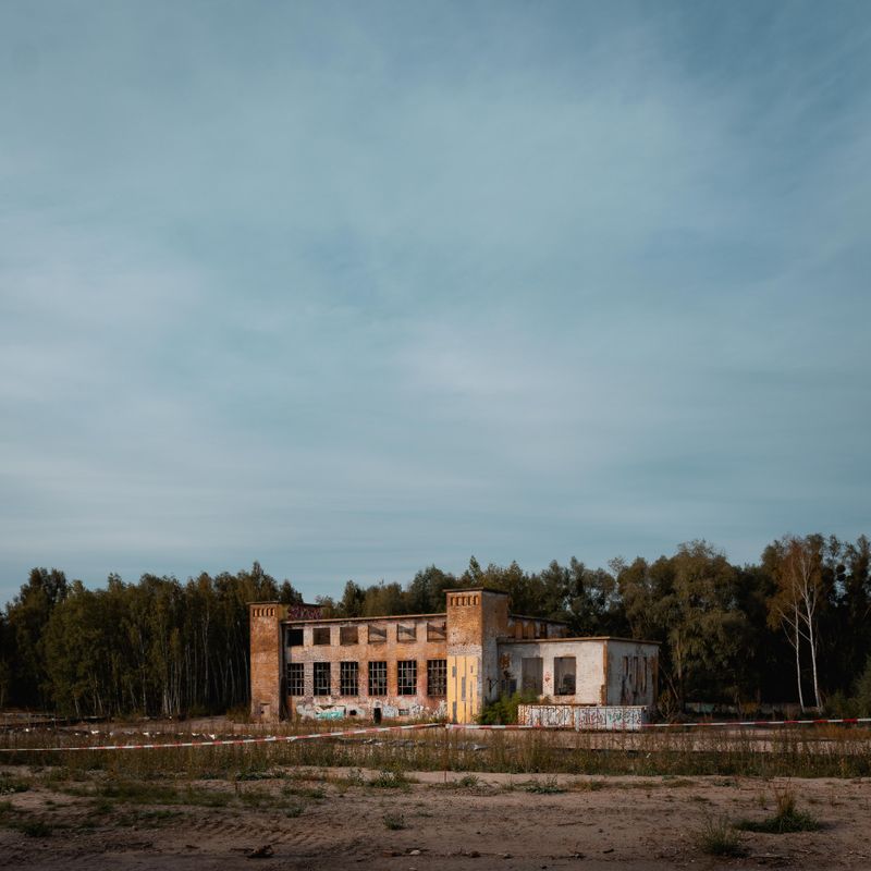 spooky abandoned building trees
