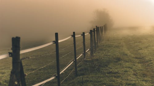 Narrow path near fence and meadow in fog