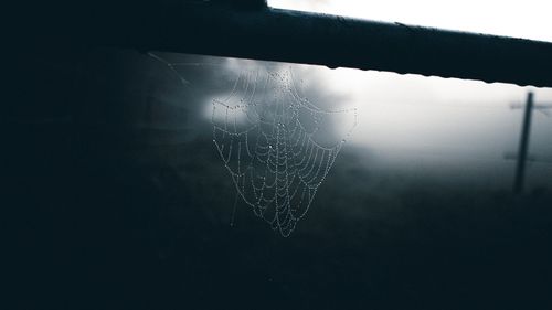 Free Black and white of cobweb with tiny water drops hanging on metal beam under foggy sky in countryside in evening Stock Photo