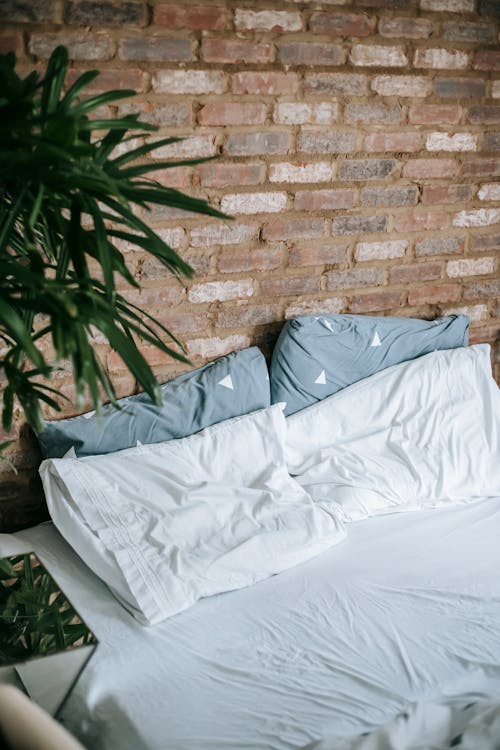 Gratis Interior Kamar Tidur Yang Nyaman Dengan Tanaman Pot Foto Stok