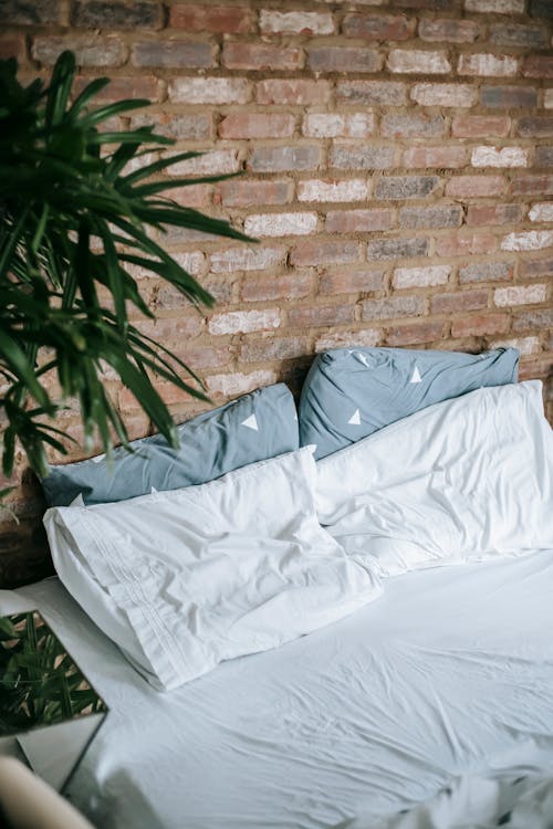 Interior of cozy bedroom with potted plants