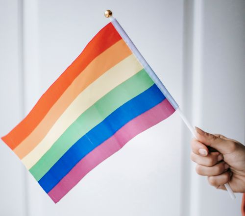 Free Crop anonymous woman demonstrating small pride rainbow flag on white background in daylight Stock Photo