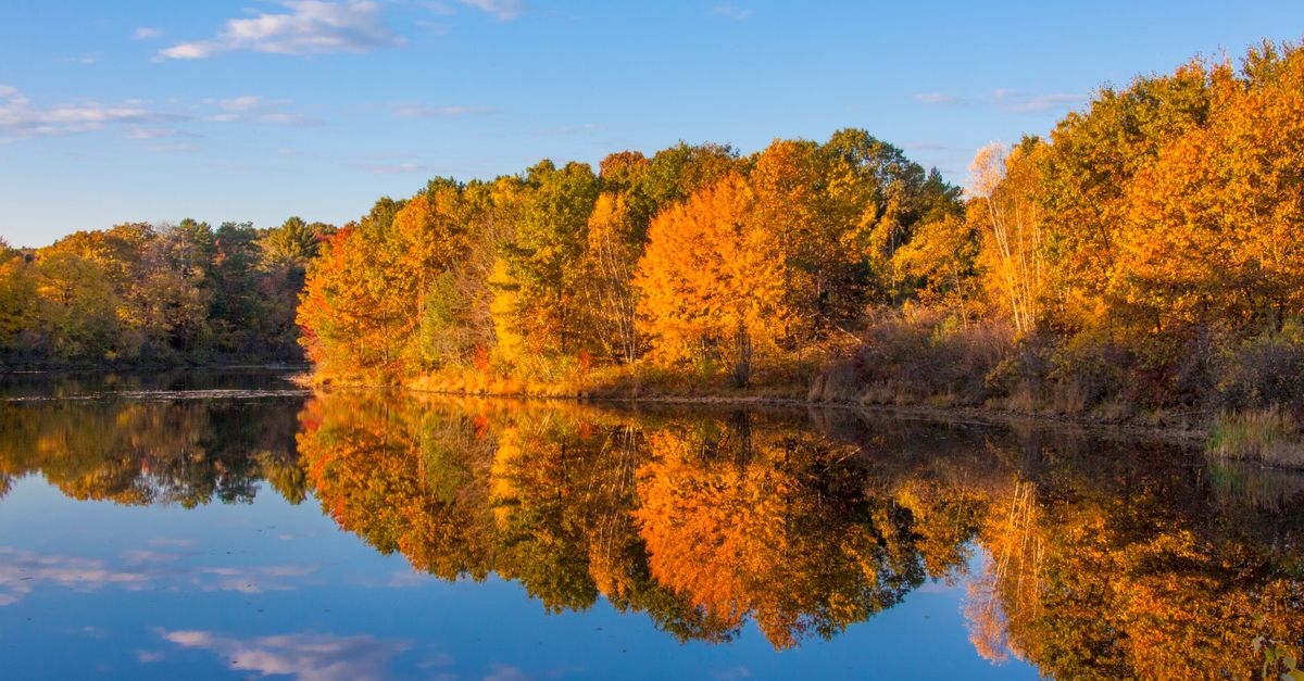 Why Book Your New England Fall Foliage Trip with Shark Travel? - Photo by Mohan Nannapaneni on Pexels Why Book Your New England Fall Foliage Trip with Shark Travel? - Photo by Mohan Nannapaneni on Pexels
