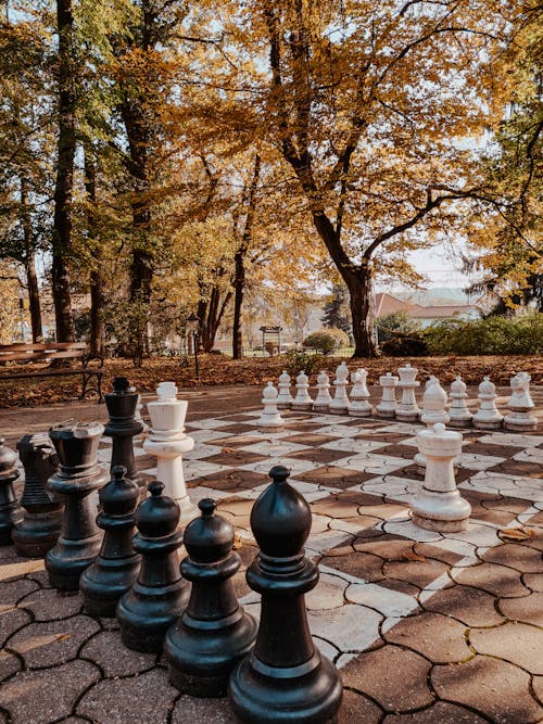 Fotos de stock gratuitas de ajedrez, al aire libre, arboles