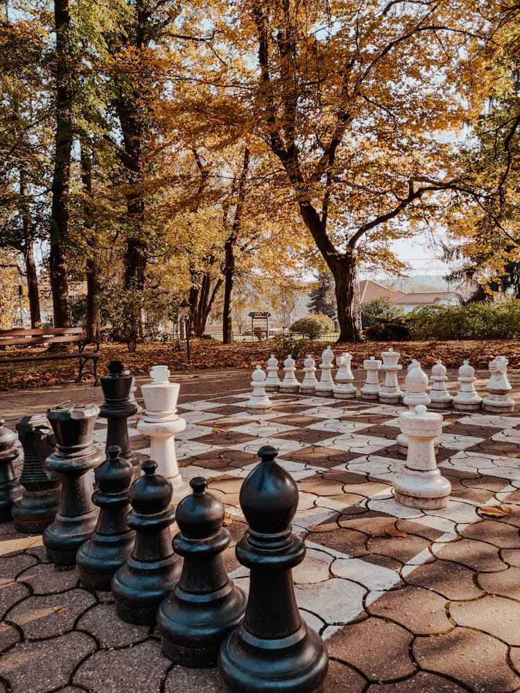 Giant Chess Pieces On A Paved Floor Outdoors