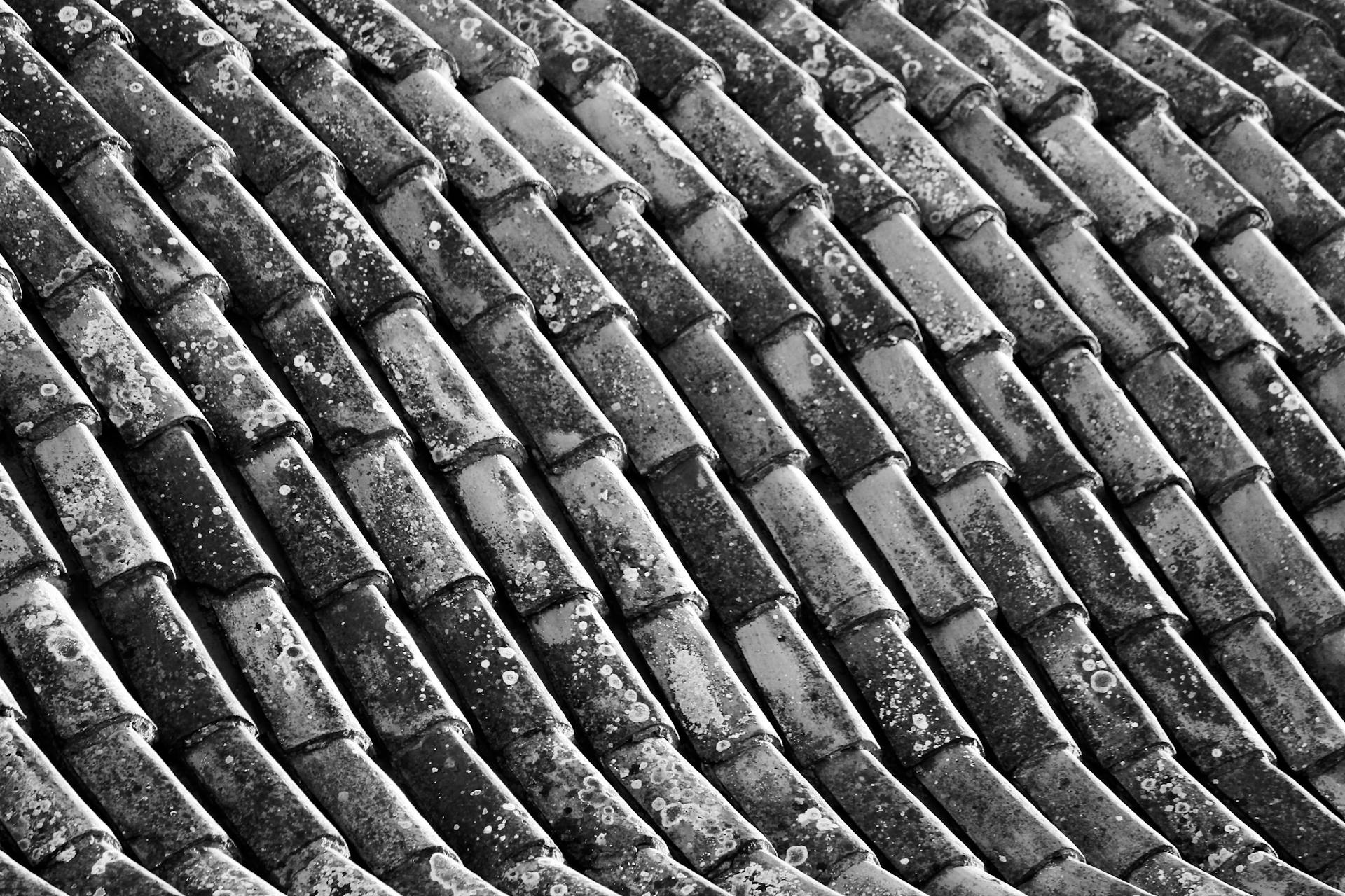 Detailed black and white image of old ceramic roof tiles showcasing texture.