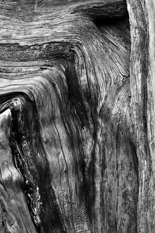 Základová fotografie zdarma na téma dřevěný, dřevo obilí, jednobarevný