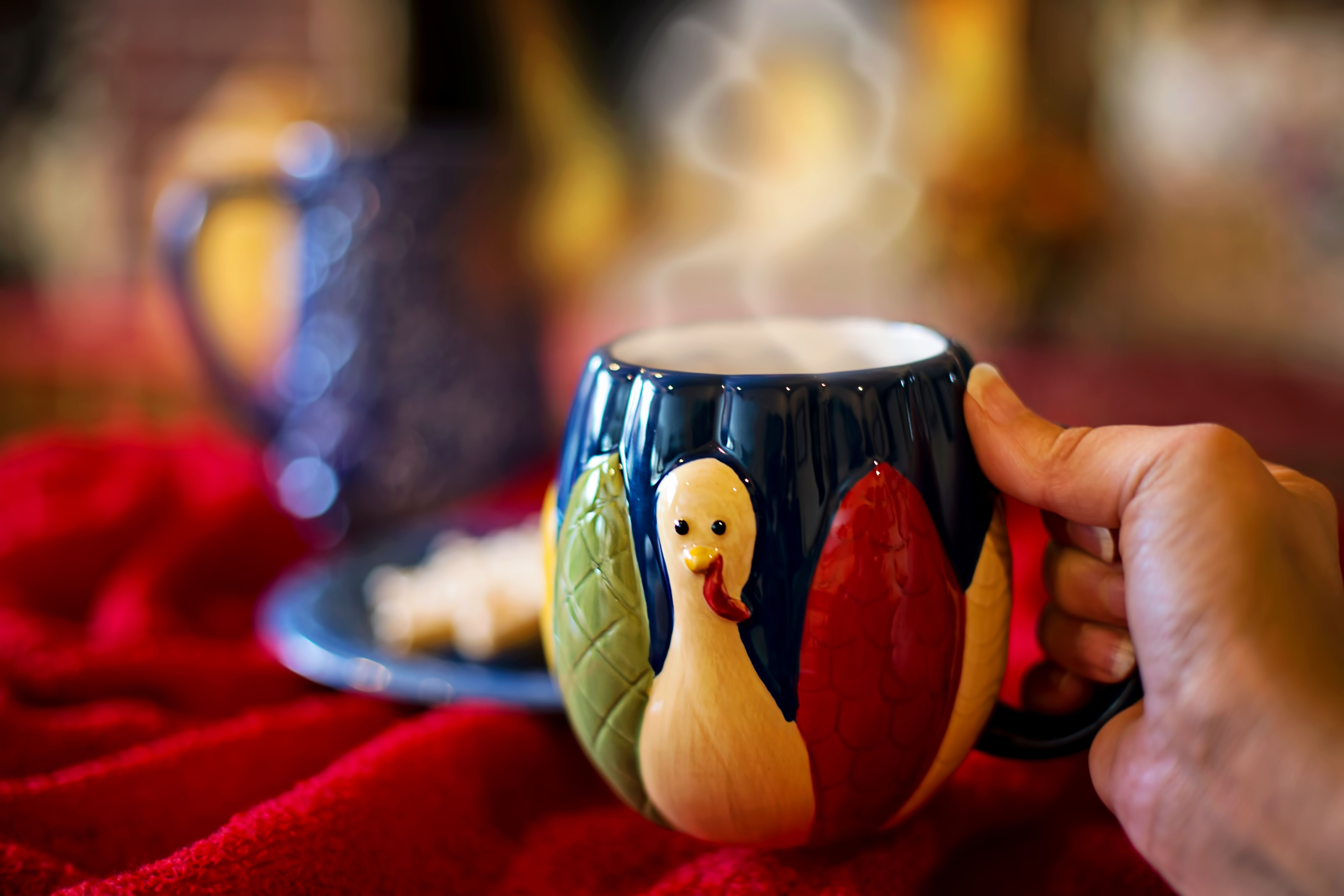 Hand holding a turkey-themed ceramic mug with steaming beverage, creating a cozy atmosphere.