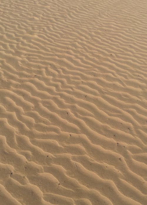 Foto profissional grátis de areia, estéril, fechar-se