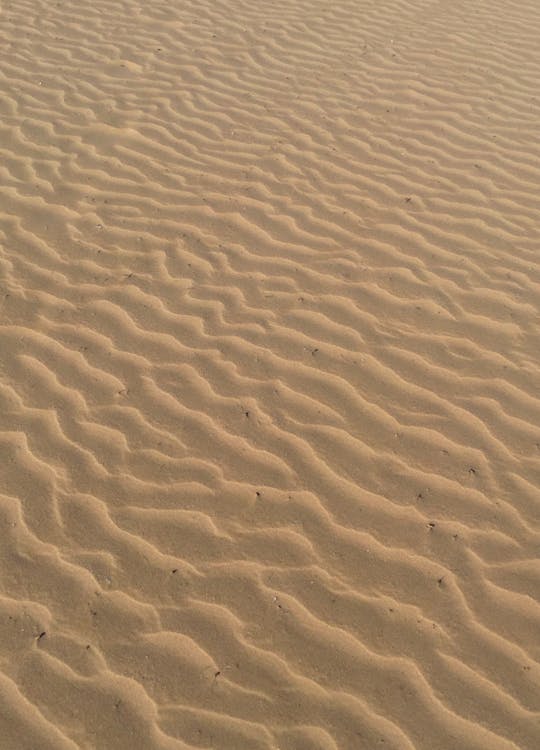 Foto profissional grátis de areia, estéril, fechar-se