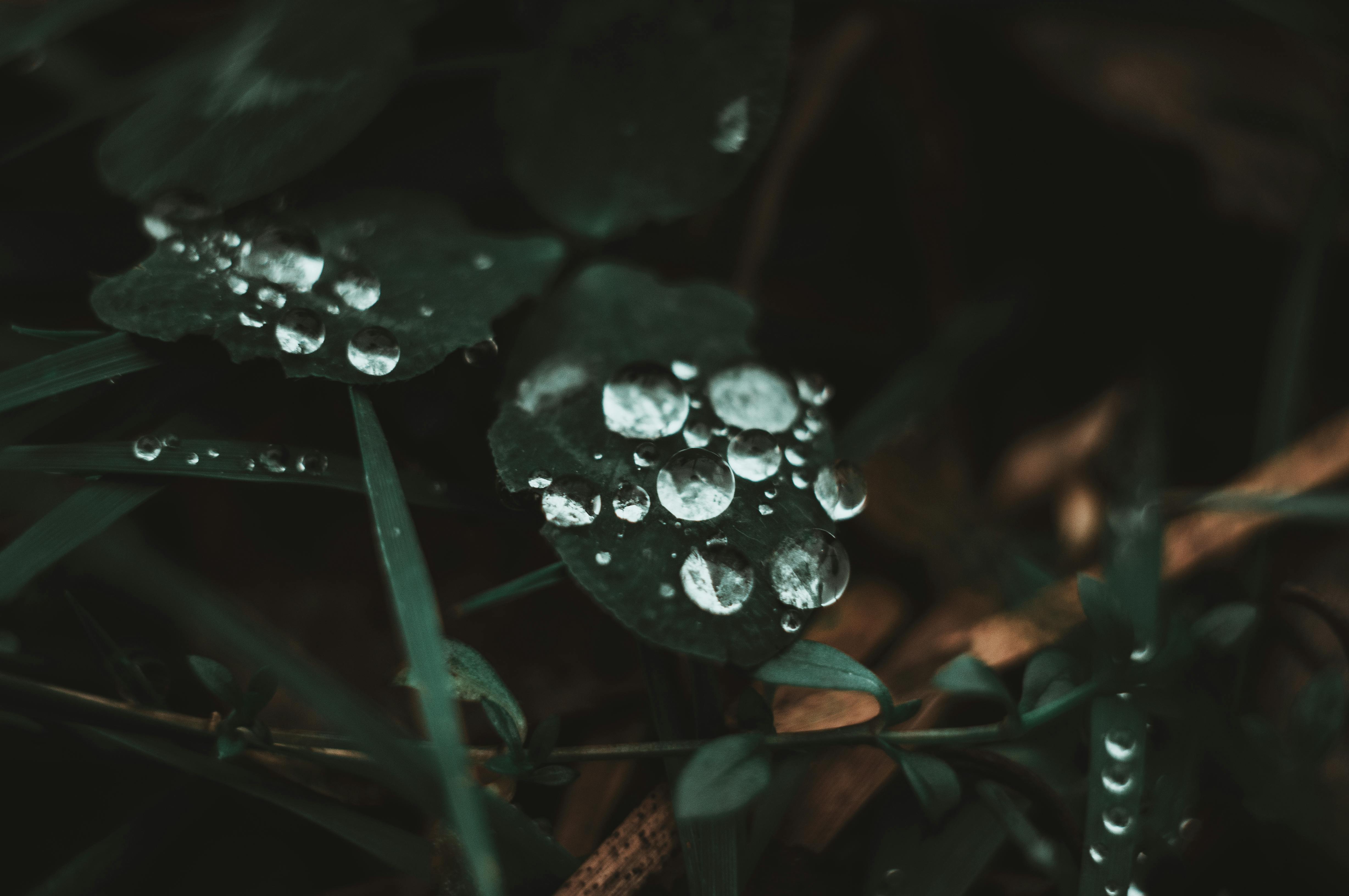 Improved Precipitation Accuracy in Hydrological Models