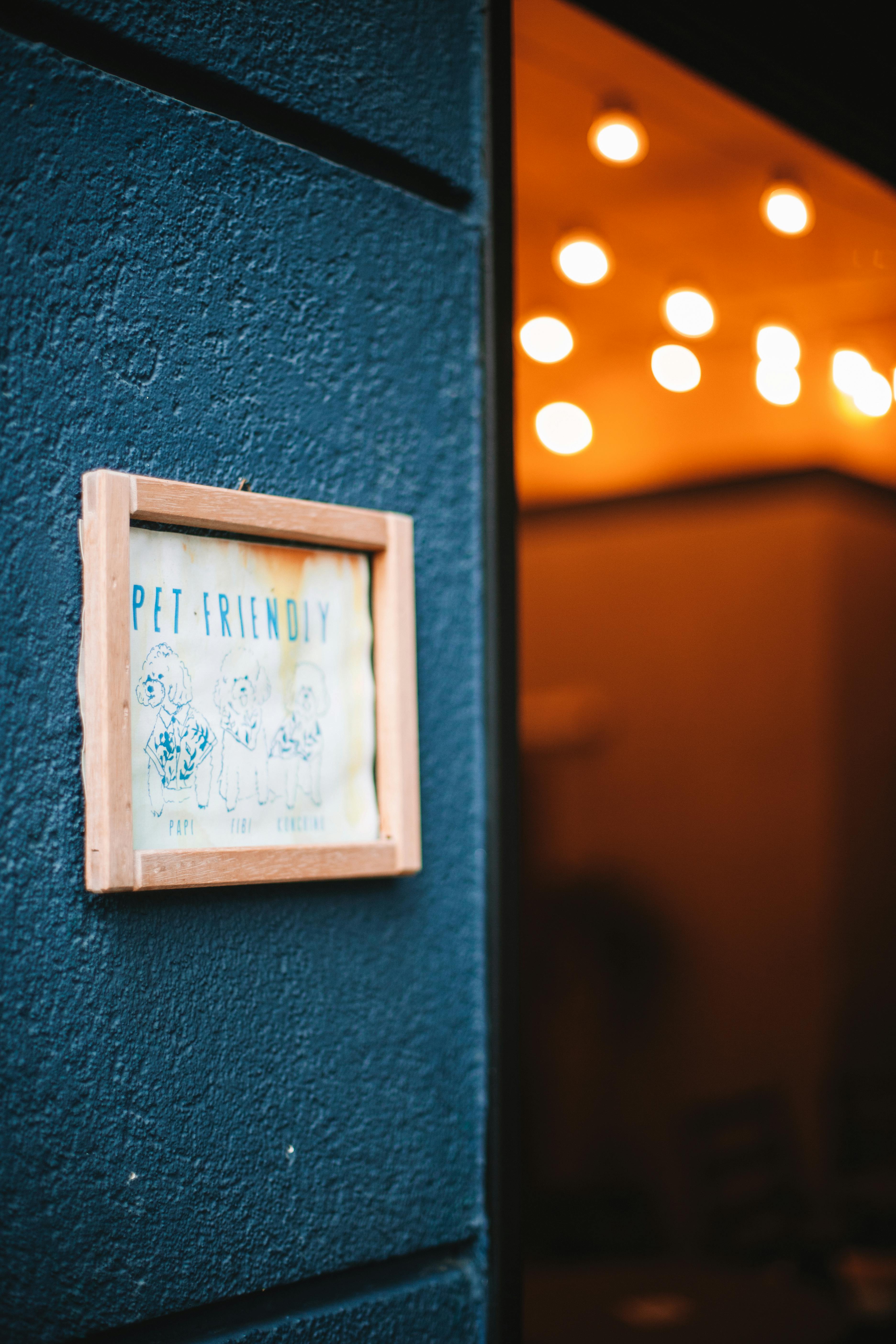 Bistrița, primul oraș din România recunoscut Autism Friendly cu 35 de spații incluse pe harta albastră