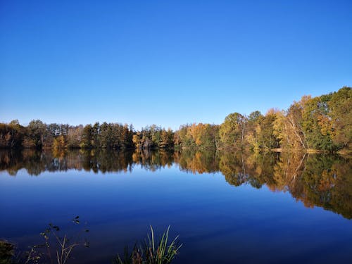 Colorful Autumnal Trees Reflecting in Still Water 