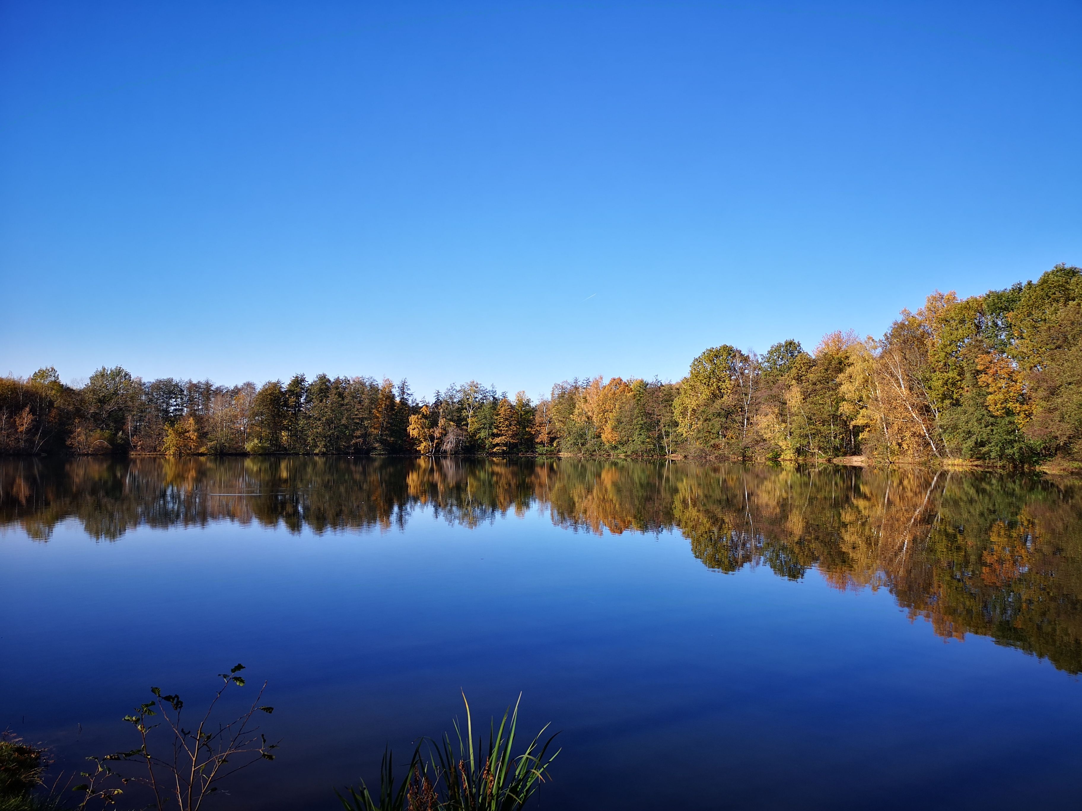 Green Trees Beside River Under Blue Sky · Free Stock Photo