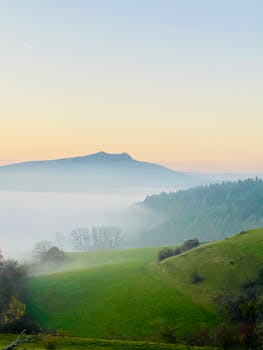 Idyllic misty mountain landscape with serene fog at sunrise, highlighting natural beauty.