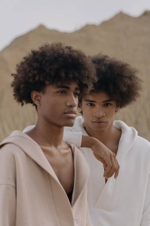 Fotos de stock gratuitas de amigos, cabello afro, guapo