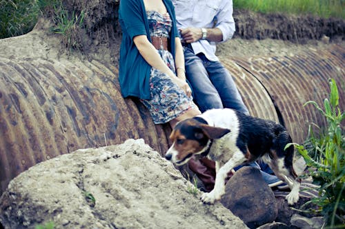 A Couple with a Dog Outdoors