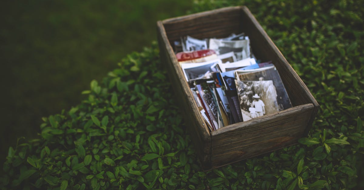 科技:美光營收暴增近2倍,記憶體成為AI戰略資產的3大關鍵