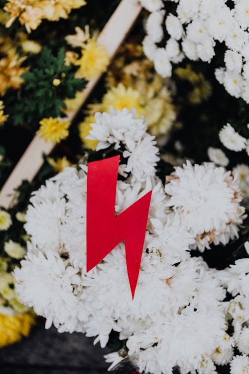 Red Lightning Symbol on Flowers