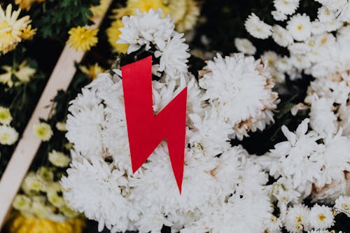 Red Lightning Symbol Against White Flowers