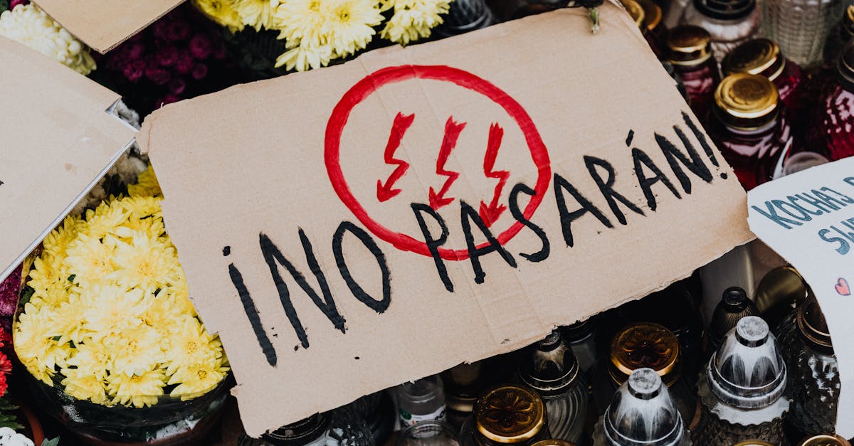 政治:鄭麗文談2026新北市長選戰:我像沙包忍辱負重,國民黨必勝