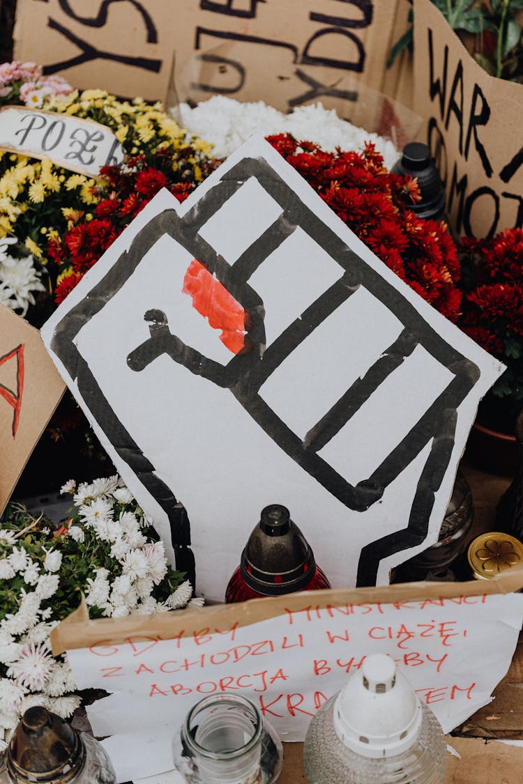 Cardboard Protester Signs With One With Fist In Middle