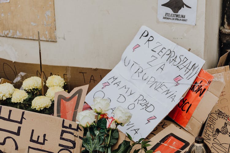 Polish Language Protest Signs