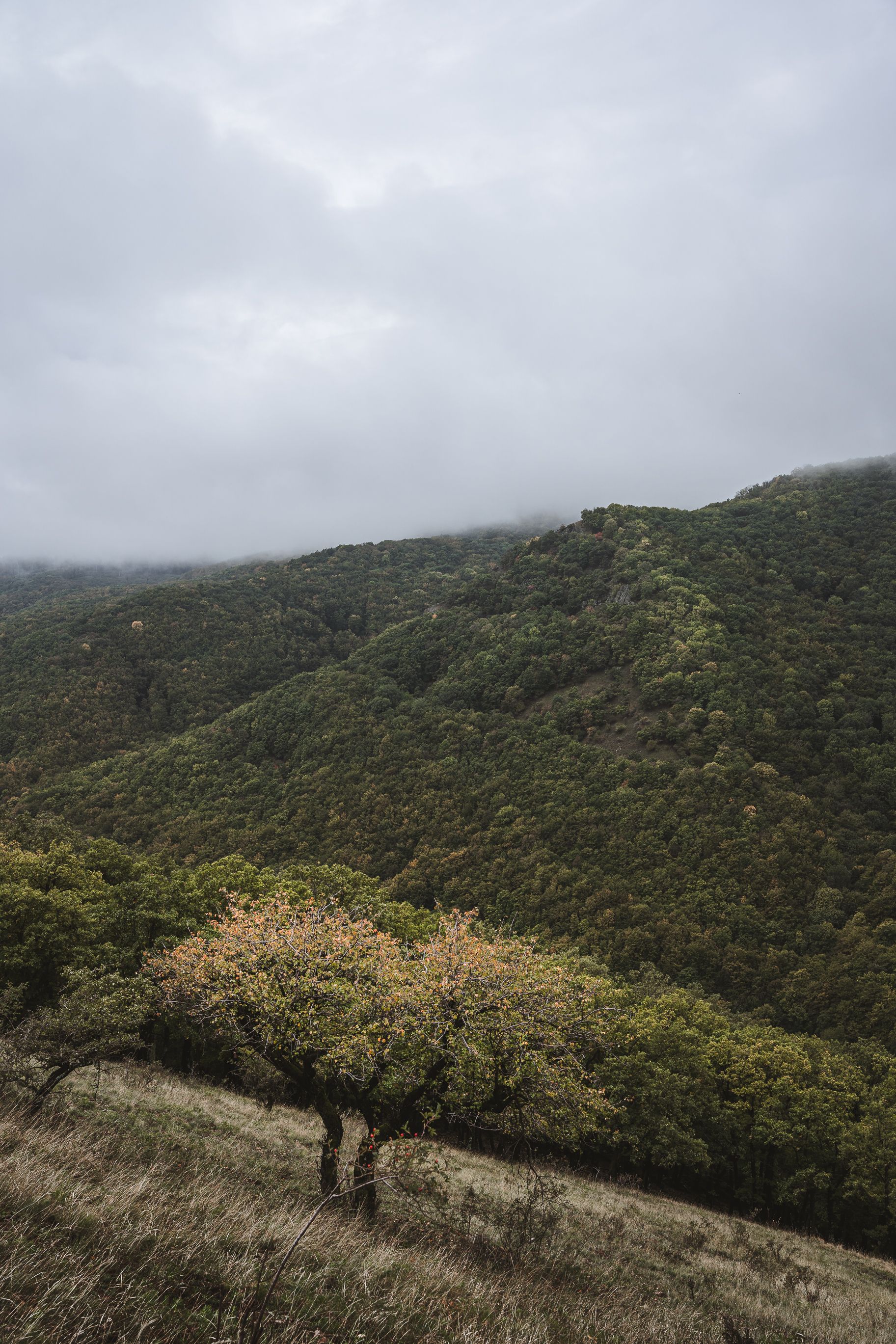Green Mountain Under Cloudy Sky · Free Stock Photo