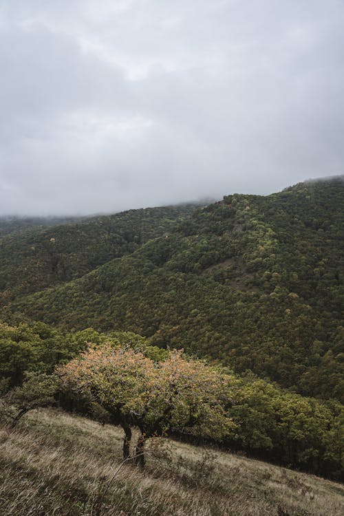 Green Mountain Under Cloudy Sky